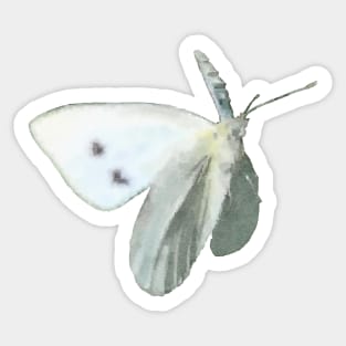 Cabbage White Butterfly Sticker